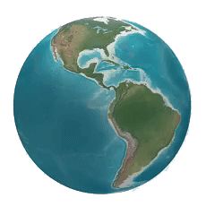 Global Service